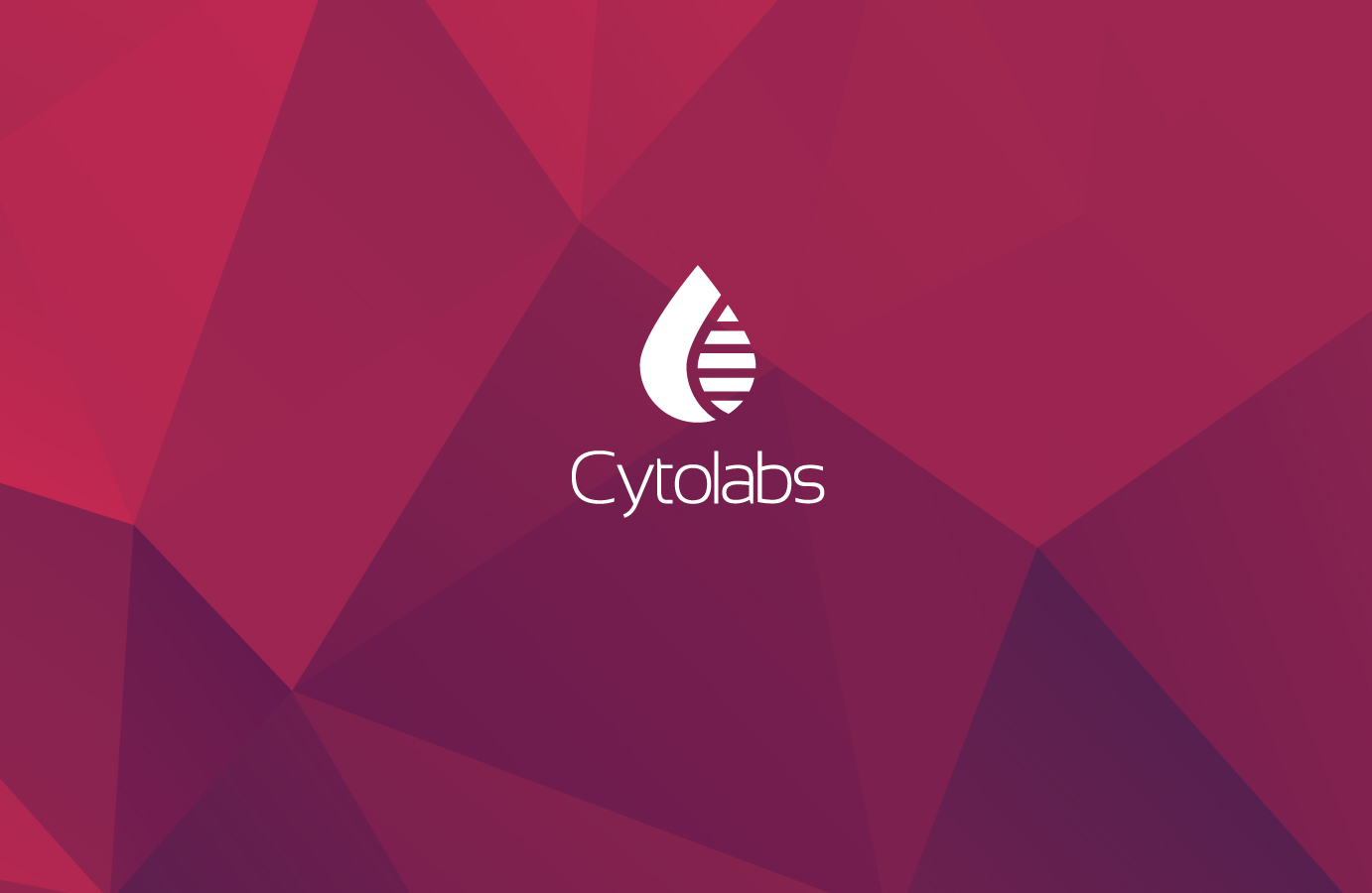 Yarusso UI portfolio photo