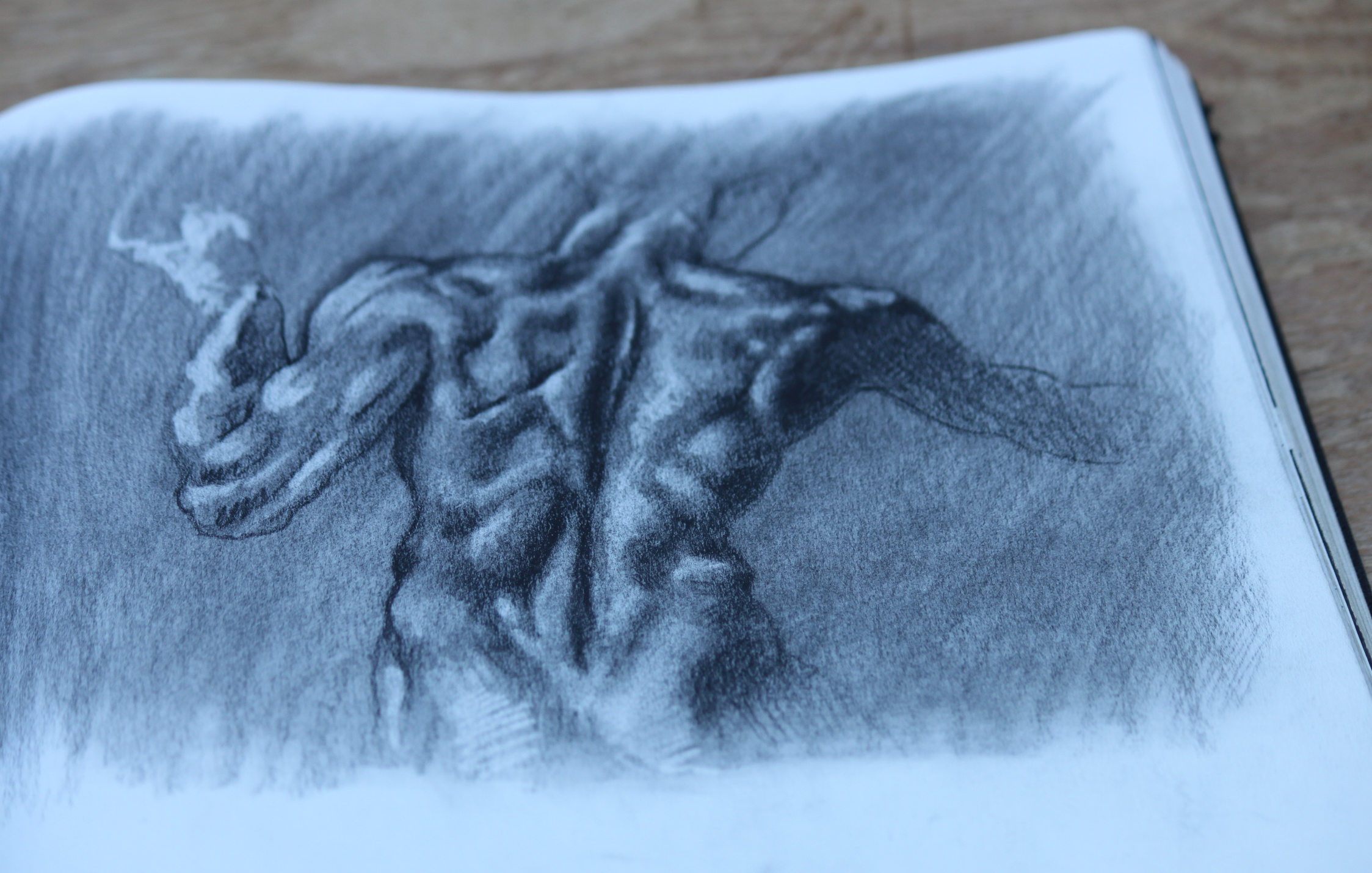 Yarusso UI portfolio photo