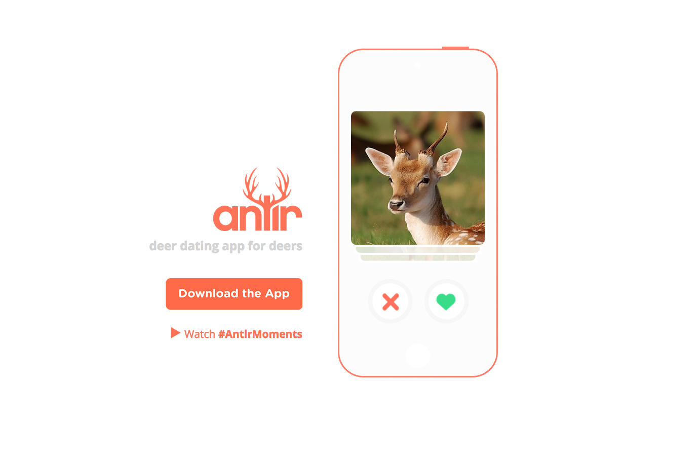 Yarusso UI portfolio photo