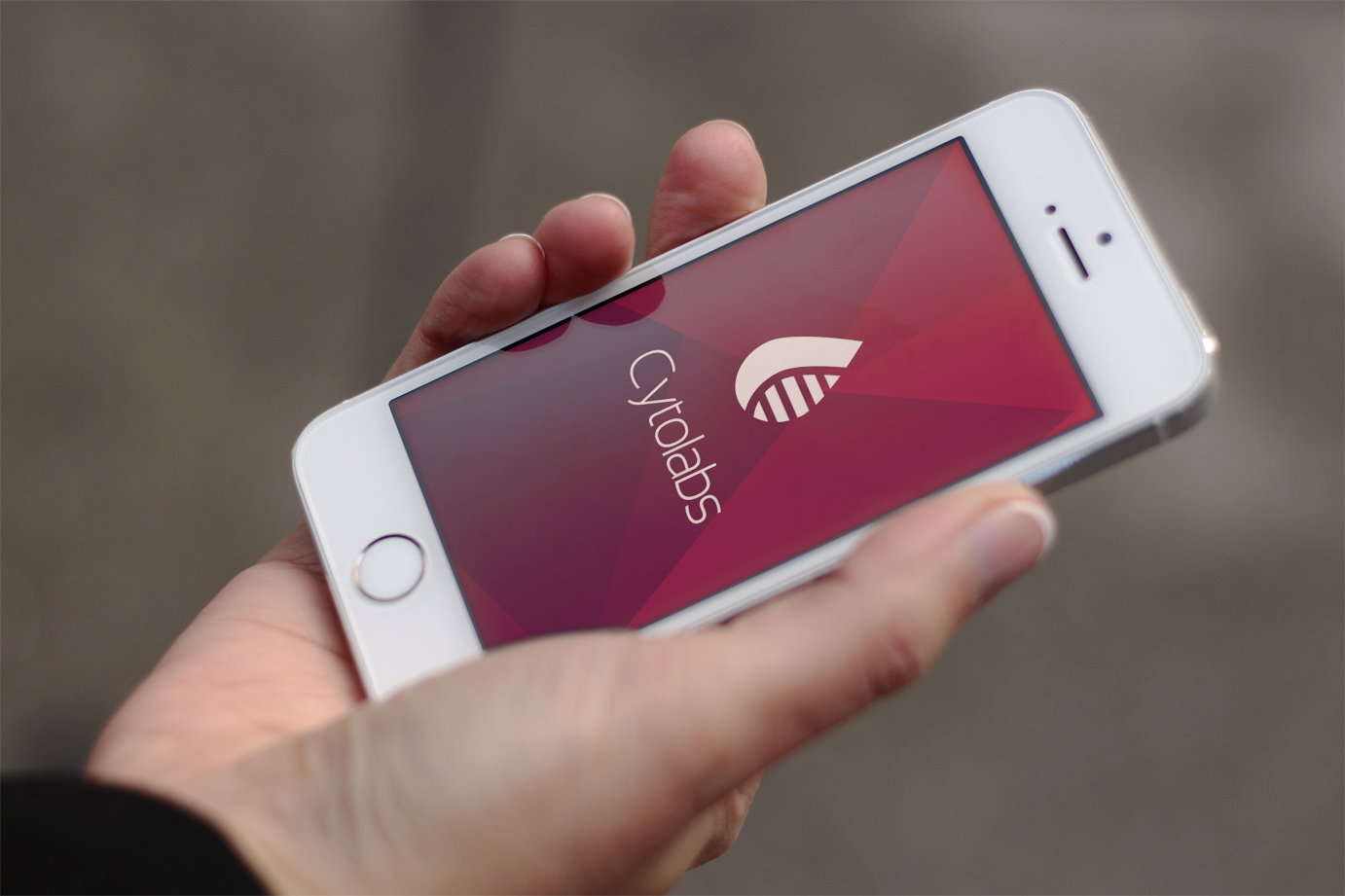 Yarusso UI portfolio photo